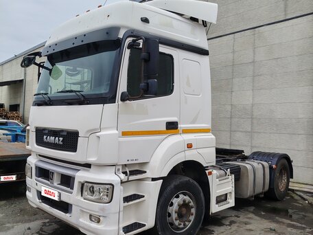2018 КамАЗ 5490, белый, 1800000 рублей, вид 5