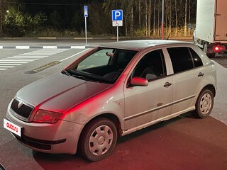 2004 Skoda Fabia I Рестайлинг, серебристый, 250000 рублей, вид 1