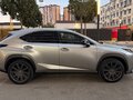 2017 Lexus NX 300 I Рестайлинг, серый, 3000000 рублей - вид 3