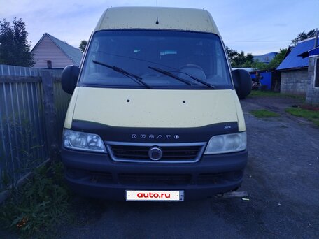 2010 Fiat Professional Ducato, жёлтый, 680000 рублей, вид 3