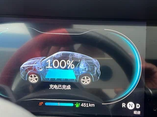 2019 Leapmotor S01 48 kWh (Li-ion), серый, 1650000 рублей, вид 1