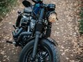 2018 Harley-Davidson Sportster 1200, чёрный, 1350000 рублей - вид 10