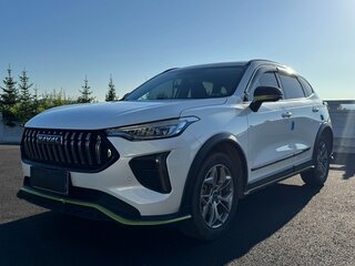 2022 Haval Chitu, белый, 1550000 рублей, вид 3
