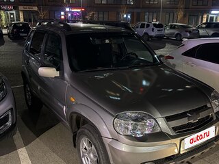 2010 Chevrolet Niva I Рестайлинг, серый, 450000 рублей, вид 3