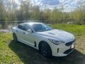 2019 Kia Stinger I, белый, 2100000 рублей - вид 1