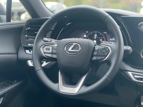 2025 Lexus RX 300 V, серый, 6900000 рублей - вид 21