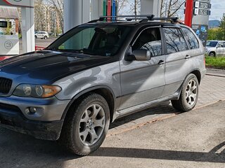 2004 BMW X5 3.0i I (E53) Рестайлинг, серый, 1400000 рублей, вид 1
