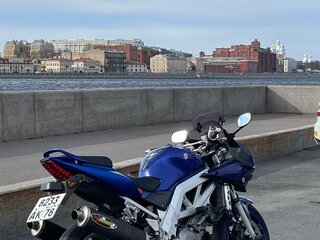 2003 Suzuki SV 1000, синий, 319000 рублей, вид 4