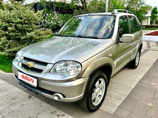 2009 Chevrolet Niva I Рестайлинг, серый, 399000 рублей, вид 1