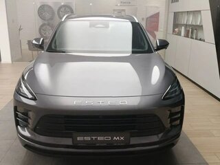 2026 Esteo MX, серый, 3990000 рублей, вид 2