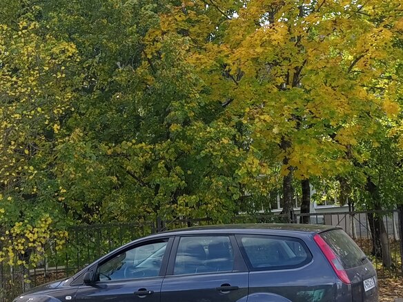2007 Ford Focus II, серый - вид 3