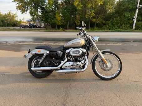 2008 Harley-Davidson Sportster 1200, серебристый, 699000 рублей, вид 1
