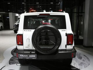 2026 Tank 300 I, белый, 4799000 рублей, вид 5