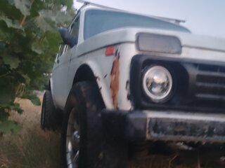 1996 Lada (ВАЗ) 2121 (4x4) I Рестайлинг, белый, 175000 рублей, вид 5