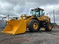 2026 LGCE L956F, жёлтый - вид 2