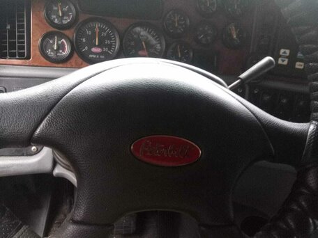 2003 Peterbilt 387, белый, 3450000 рублей, вид 5