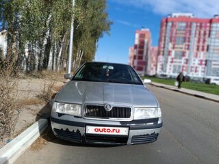 2002 Skoda Octavia I (A4) Рестайлинг, серебристый, 370000 рублей, вид 1