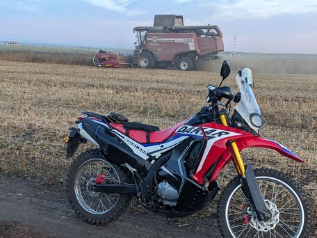 2020 Motoland Dakar ST, красный, 105000 рублей, вид 1