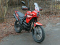 2026 Loncin MS250, красный, 179900 рублей - вид 5