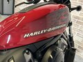 2022 Harley-Davidson Nightster, красный, 950000 рублей - вид 9