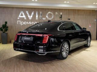2026 Senat 900, чёрный, 12549000 рублей, вид 4