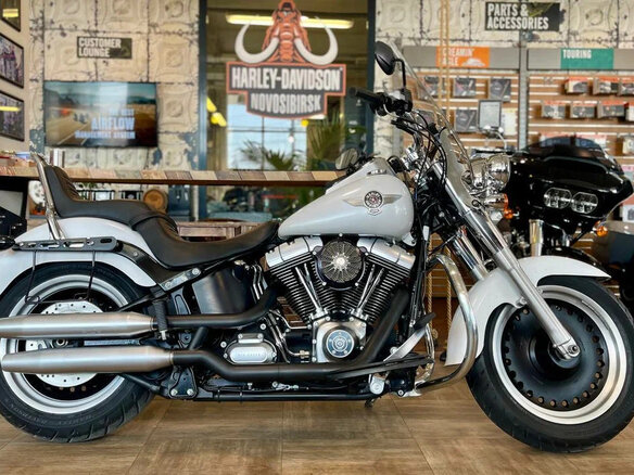 2011 Harley-Davidson Fat Boy, белый - вид 1