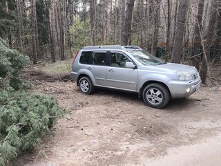 2004 Nissan X-Trail I Рестайлинг, серый, 600000 рублей, вид 2
