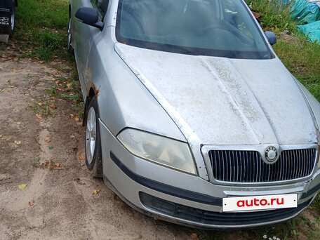 2005 Skoda Octavia II (A5), серый, 290000 рублей, вид 4