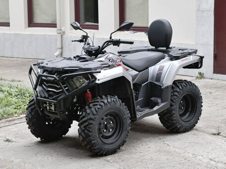2026 Loncin XWolf 300 Max, серый, 485000 рублей, вид 2