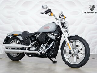 2024 Harley-Davidson Softail Standard, серый, 1699000 рублей, вид 5