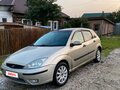2004 Ford Focus I Рестайлинг, золотистый, 200000 рублей