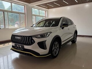 2022 Haval Chitu, белый, 1420000 рублей, вид 1