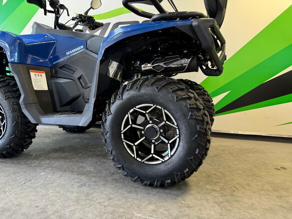 2026 AODES (Odes) UTV 300, синий, 359990 рублей - вид 9