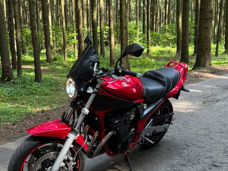 2006 Suzuki Bandit GSF 650, красный, 330000 рублей, вид 3