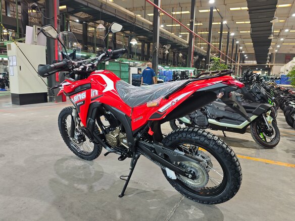 2026 Loncin DS250, пурпурный, 258000 рублей - вид 2