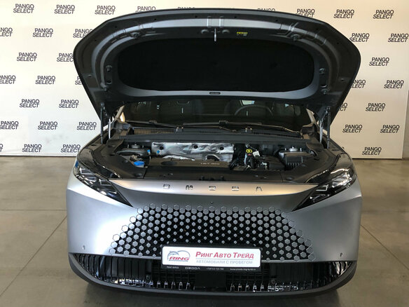 2025 Omoda C7, серый, 2900000 рублей - вид 8