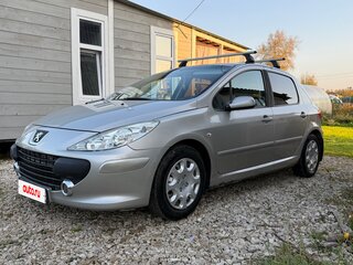 2006 Peugeot 307 I Рестайлинг, серебристый, 316000 рублей, вид 1