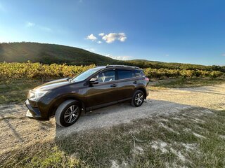 2019 Toyota RAV4 IV (XA40) Рестайлинг, коричневый, 2850000 рублей, вид 5