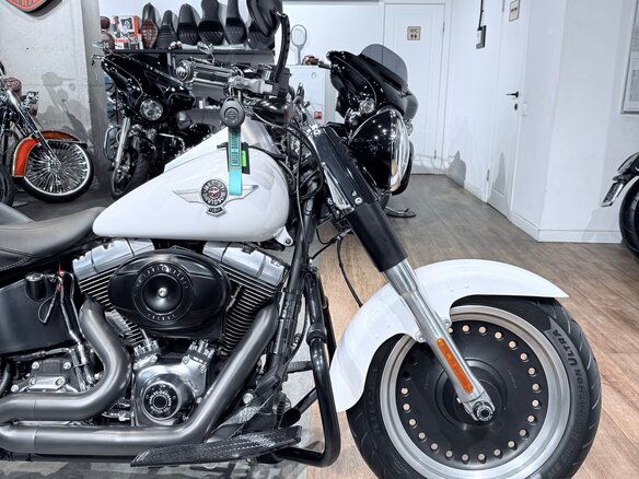 2011 Harley-Davidson Fat Boy, белый, 1399000 рублей - вид 11