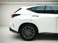 2025 Lexus NX 200 II, белый - вид 5