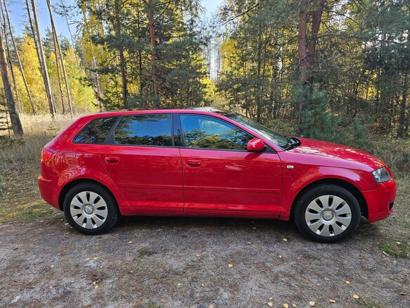2005 Audi A3 II (8P) Рестайлинг 1, красный, 620000 рублей - вид 10