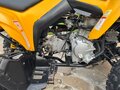 2008 BRP Can-Am DS 250, жёлтый, 329990 рублей - вид 9