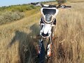 2025 Kayo Basic TT125, оранжевый, 80000 рублей