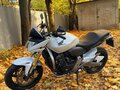 2008 Honda CB 600F Hornet, белый, 500000 рублей - вид 3