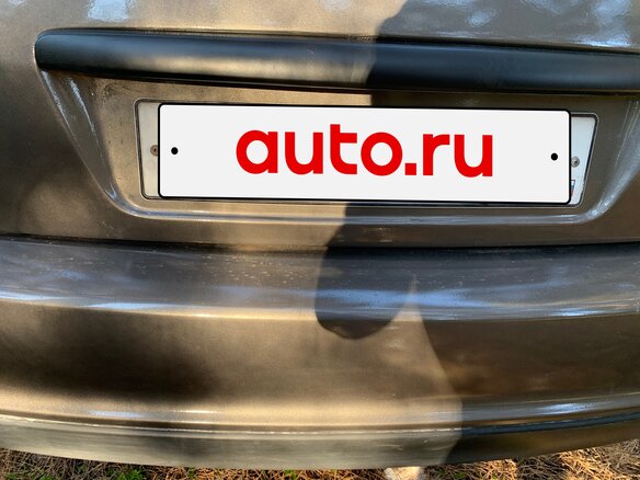 2007 Lada (ВАЗ) Priora I, серый, 170000 рублей - вид 18