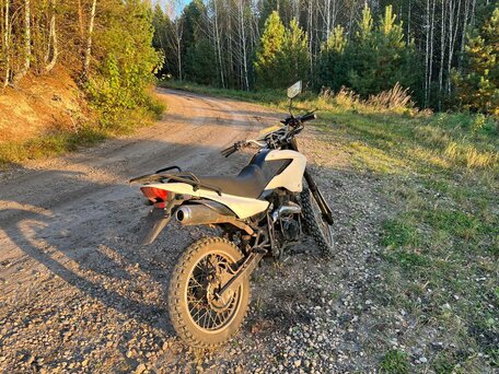 2020 Racer Panther, зелёный, 60000 рублей, вид 4