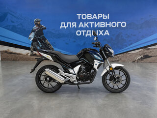 2026 Motoland Fighter 250, чёрный, 216900 рублей, вид 2