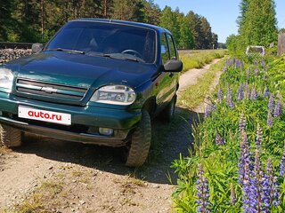2004 Chevrolet Niva I, зелёный, 250000 рублей, вид 3