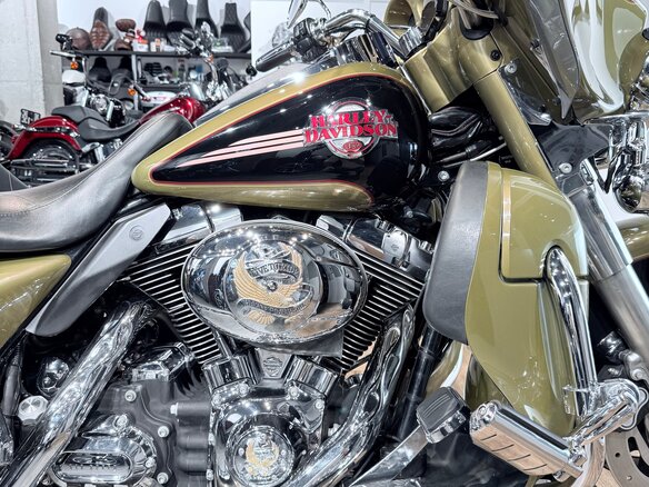 2007 Harley-Davidson Electra Glide, зелёный, 1199000 рублей - вид 19