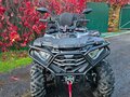 2026 Loncin XWolf 300 Max, серый, 400000 рублей - вид 2